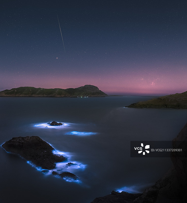 蓝眼泪图片素材