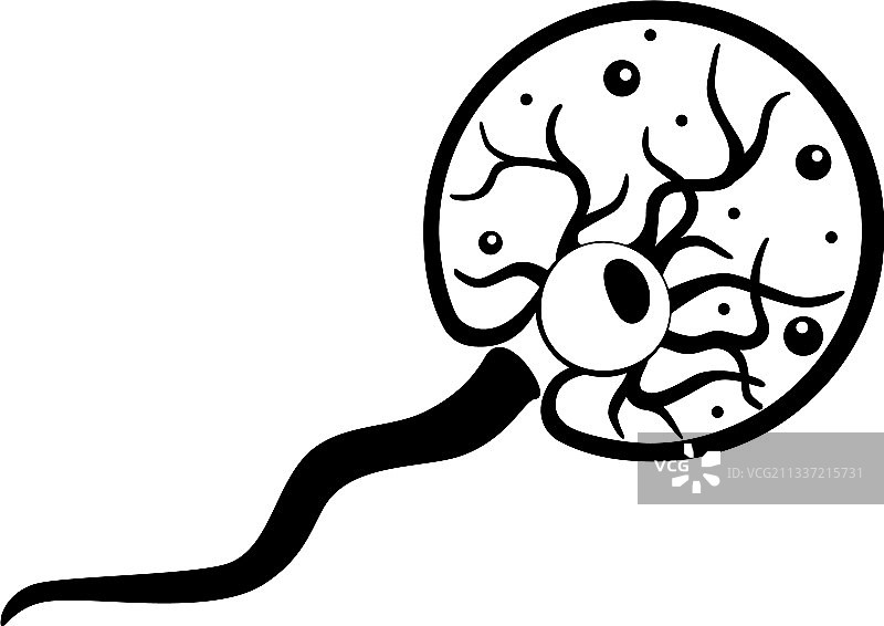 夜光藻海洋闪光动物图片素材