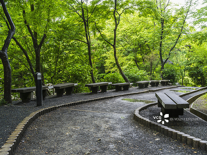 日本的林间小径图片素材