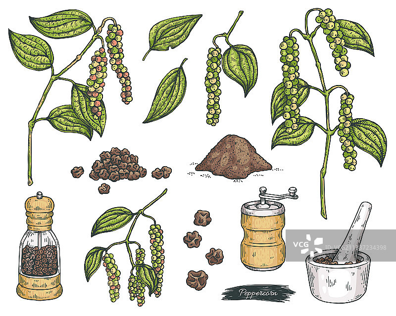 黑胡椒籽和研磨器雕刻图案图片素材