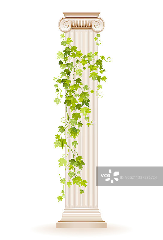 常春藤柱希腊大理石建筑图片素材
