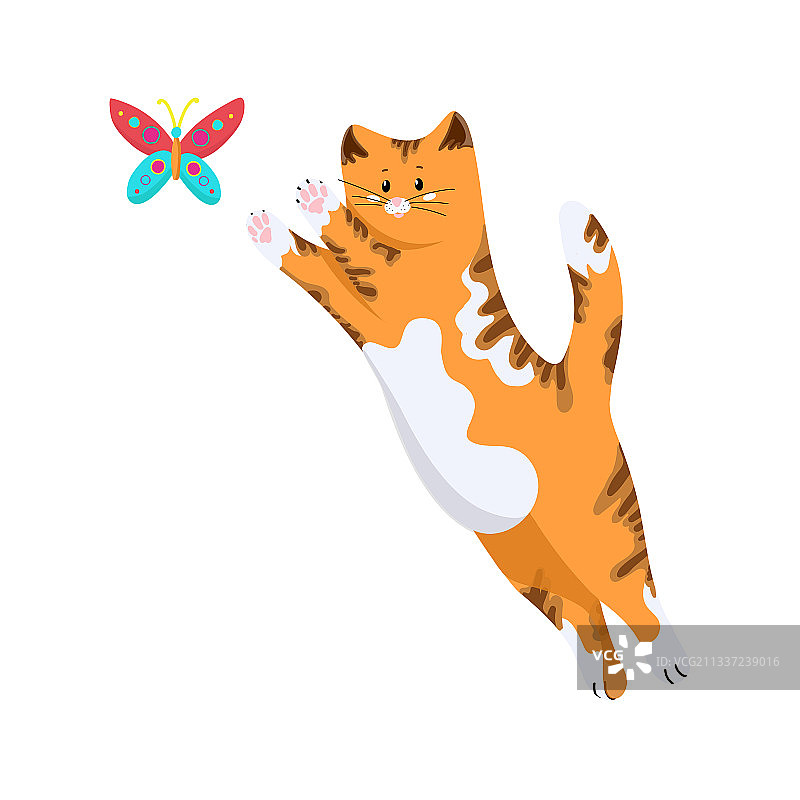 红色猫咪跳向彩色蝴蝶图片素材