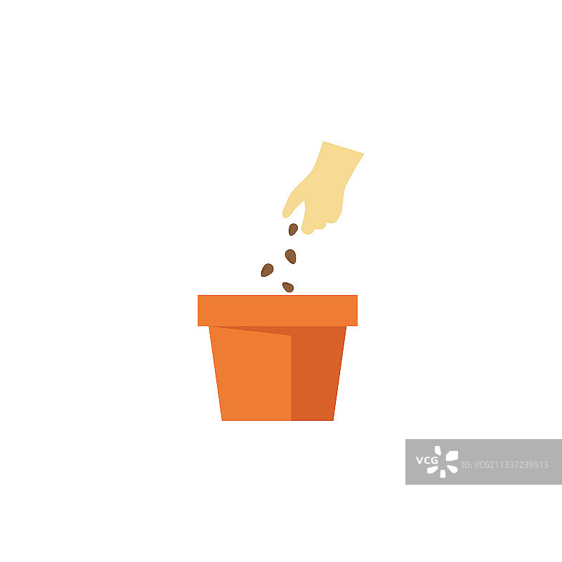 植物生命过程图片素材