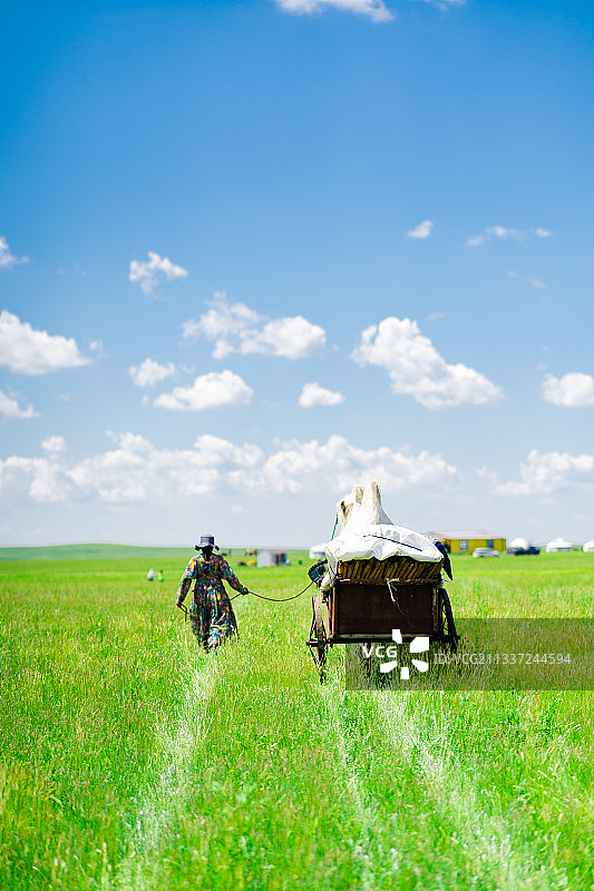 内蒙古，呼伦贝尔，大草原，蒙古族，车图片素材