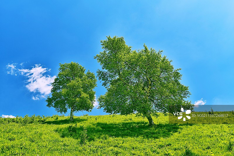 享受阳光图片素材