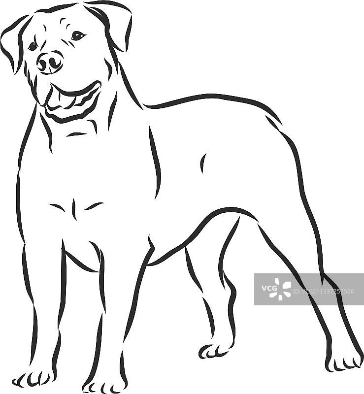 南非獒犬素描轮廓图片素材