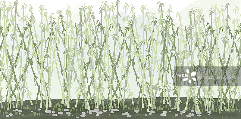 竹子手绘插画背景素材图片素材