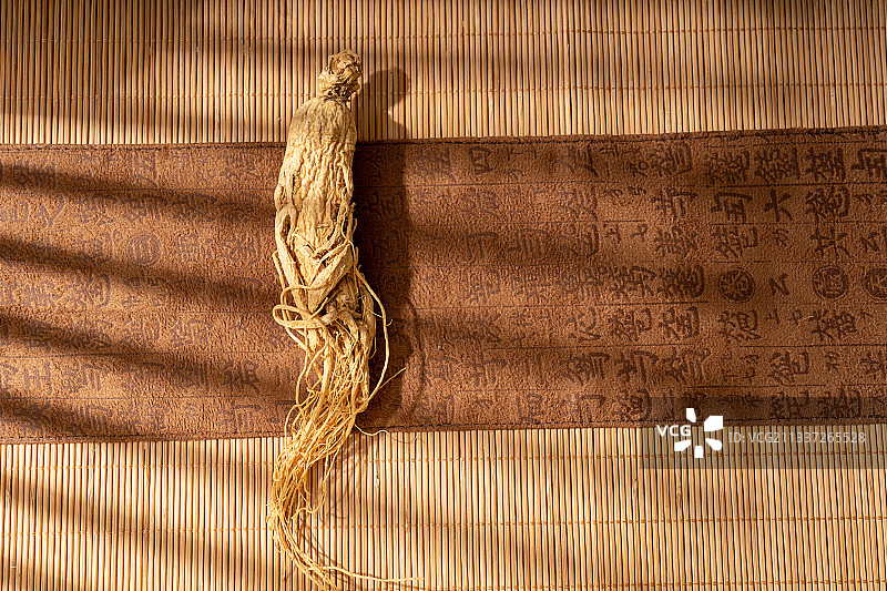 名贵中草药人参图片素材