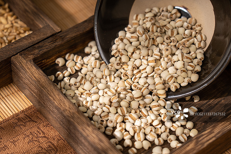 薏苡仁、薏米图片素材