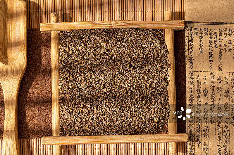 中草药地肤子图片素材