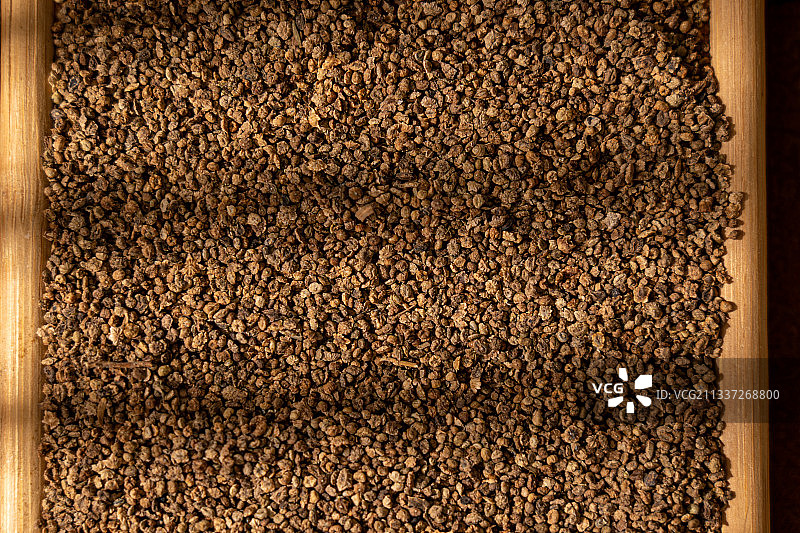 中草药地肤子图片素材