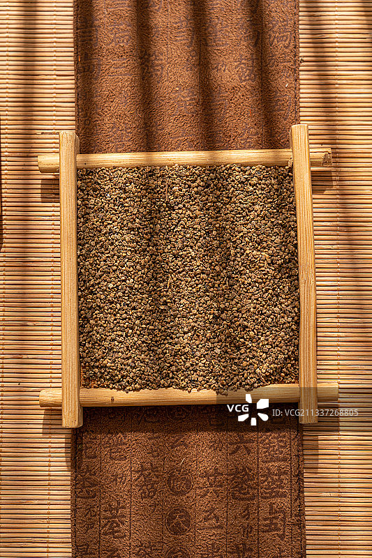 中草药地肤子图片素材