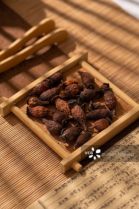 中草药金樱子图片素材