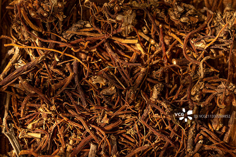 中草药龙胆图片素材