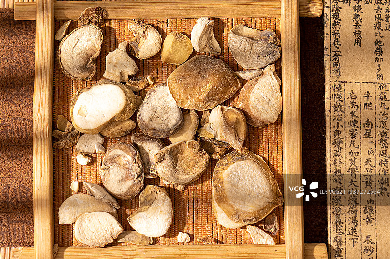 中草药浙贝母图片素材