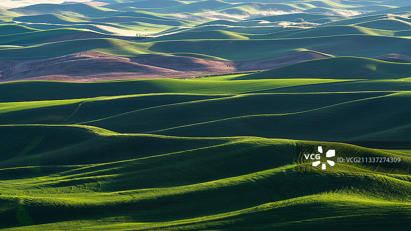 美国Palouse的农田图片素材