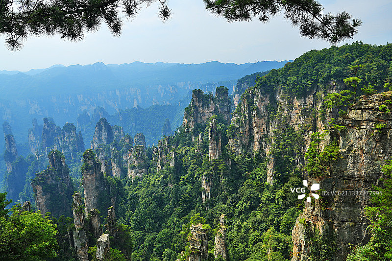 张家界风景区群峰景观图片素材