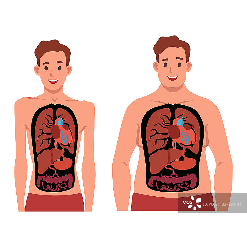 体型肥胖和瘦弱的男人图片素材