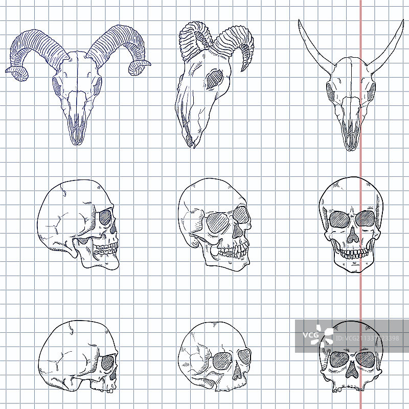 骷髅速写图片素材