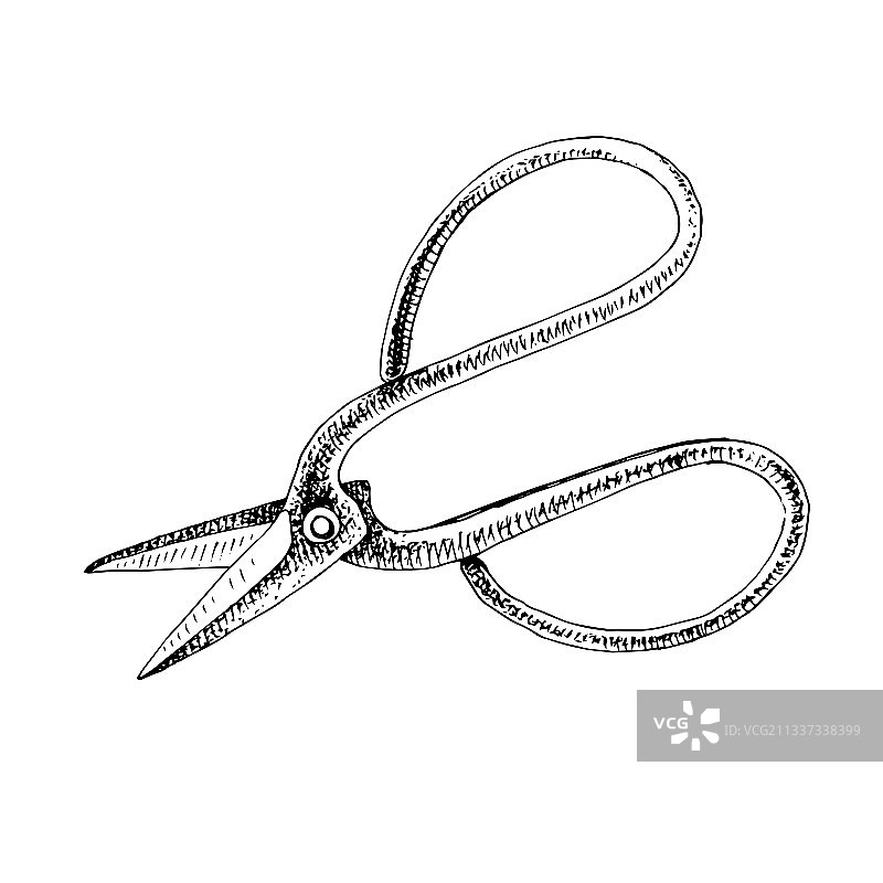 白色背景上的园艺剪刀图片素材