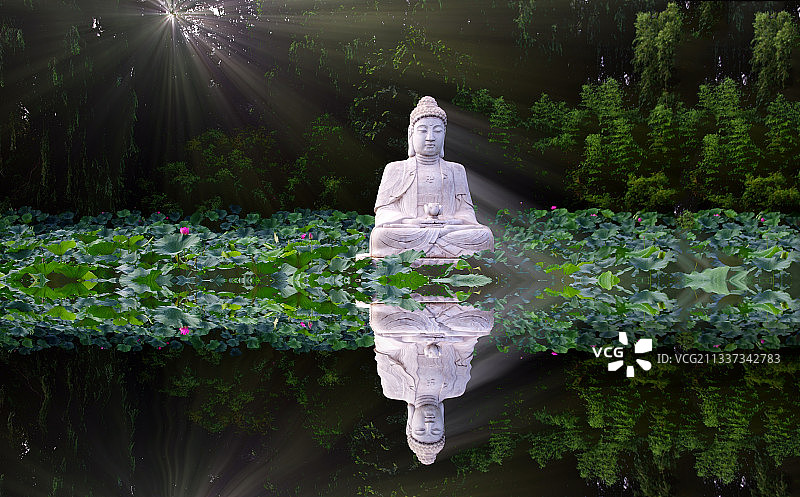 荷花池中的佛像图片素材