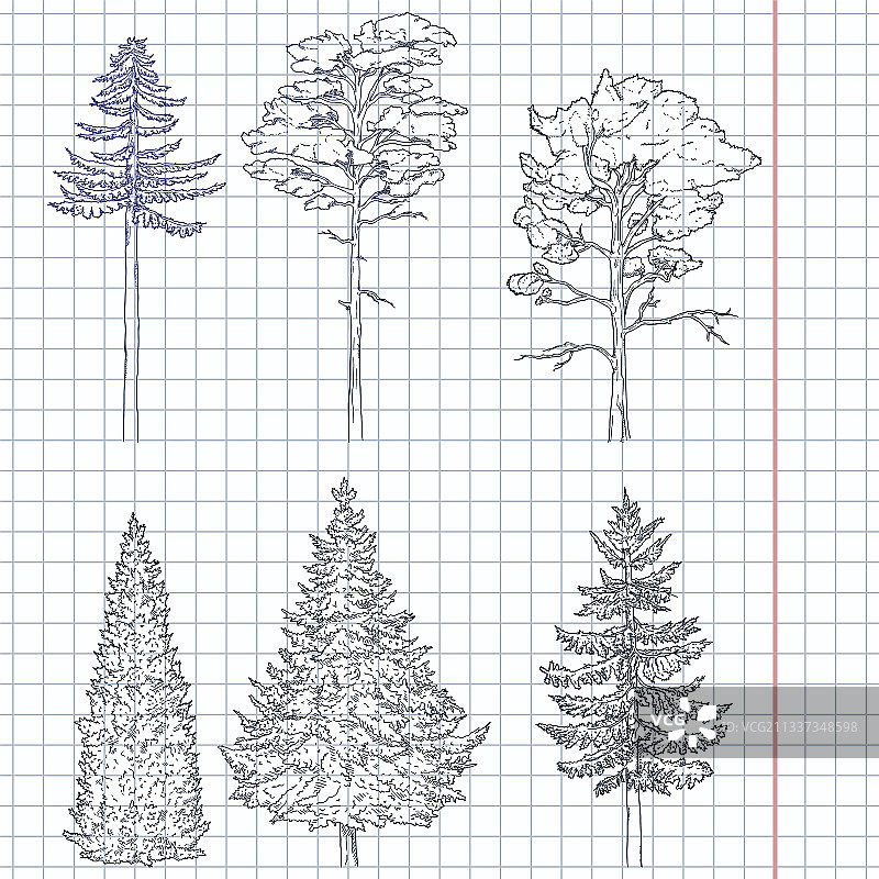 手绘松树素描素材图片素材