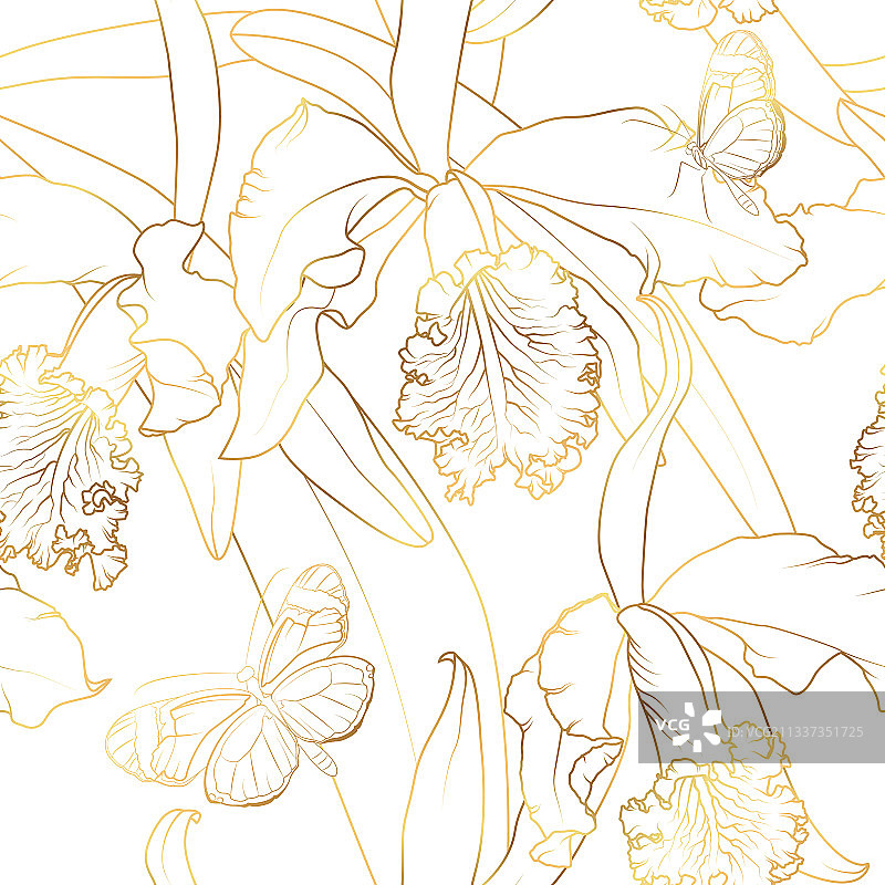 热带兰花竹芋图片素材