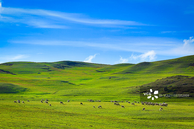 西部大峡谷的大山包图片素材
