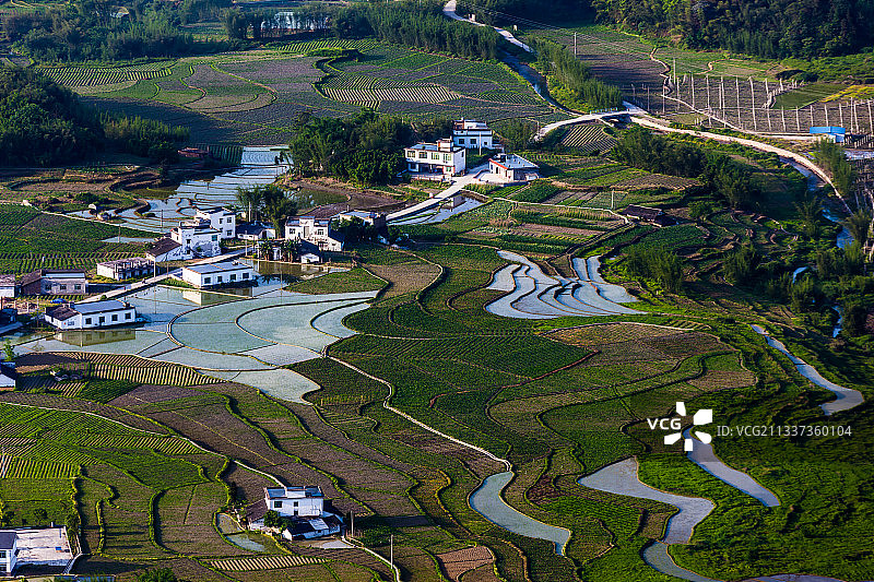 春天里图片素材