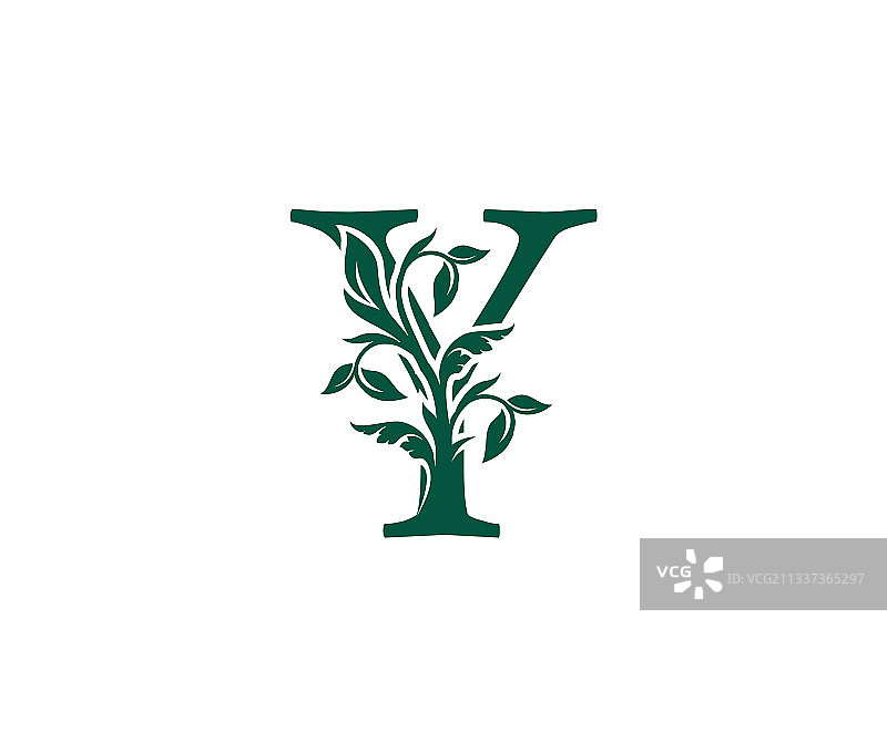 自然Y字母复古经典花卉标志图片素材