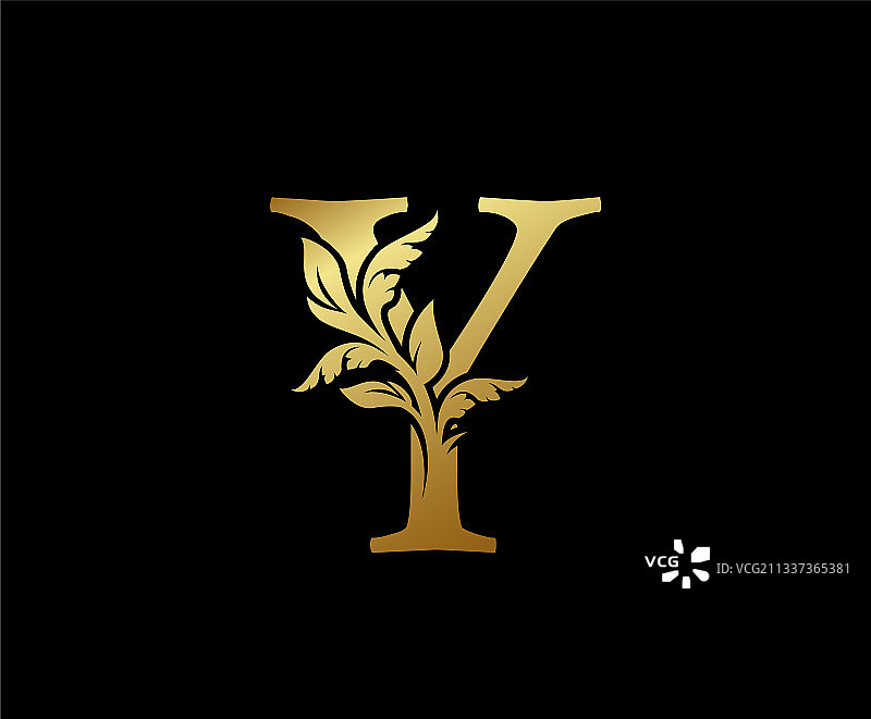 优雅的金色Y字母花卉标志复古经典图片素材