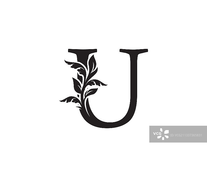 古典字母U纹章复古标志图片素材