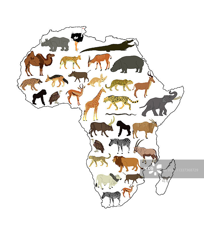 非洲地图轮廓剪影与野生动物图片素材