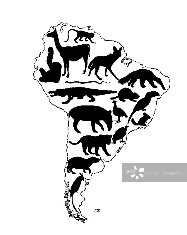 南美洲地图轮廓动物剪影图片素材