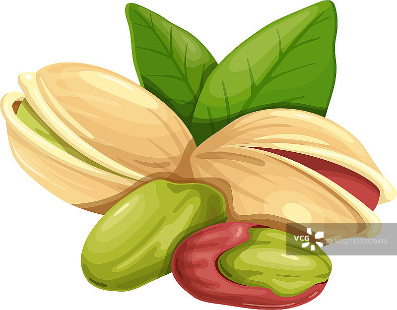 带叶子的开心果图片素材