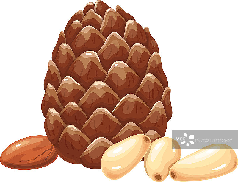 带叶子的松子图片素材