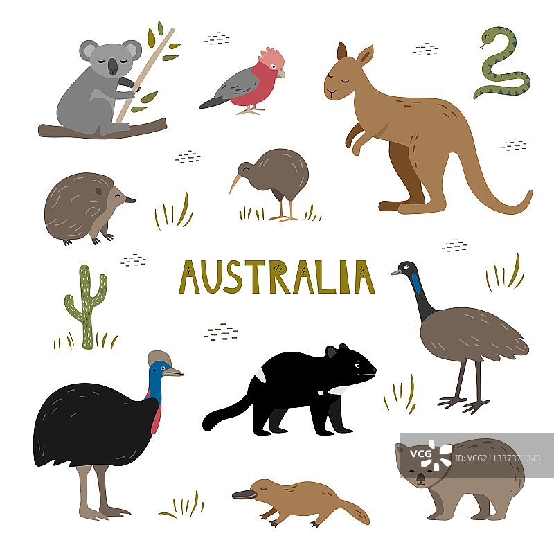 可爱的手绘澳大利亚动物套装图片素材