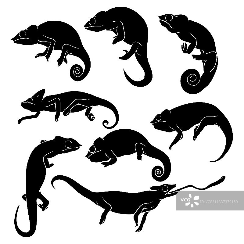 手绘剪影变色龙图片素材