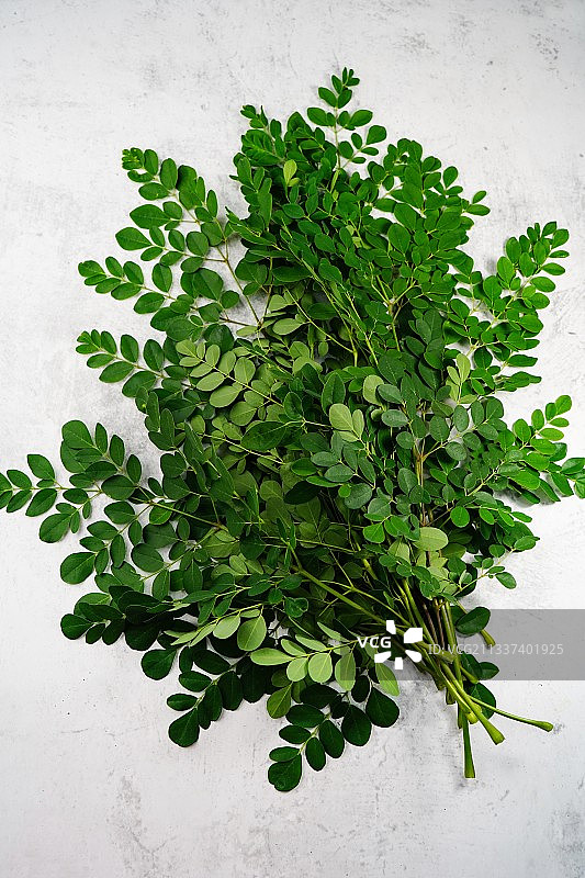 美国宾夕法尼亚州西切斯特白色背景上的香菜俯视图图片素材