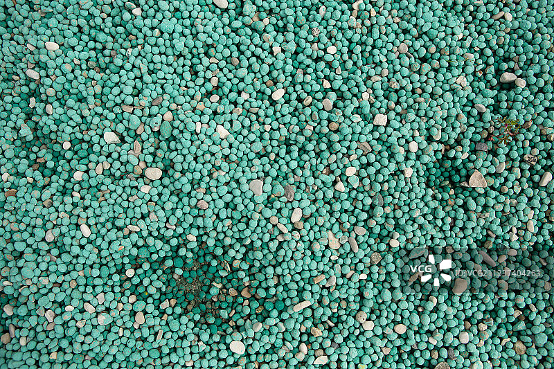 海岸上的圆形绿色鹅卵石图片素材