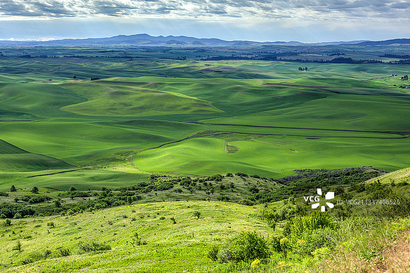 美国华盛顿斯波托比尤特的绿色景观图片素材