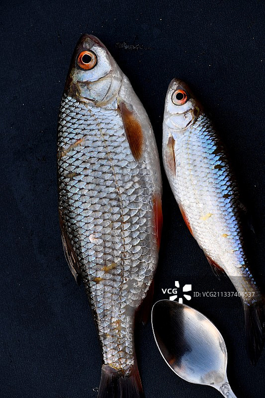 法国蒙卡雷桌子上的鱼特写图片素材