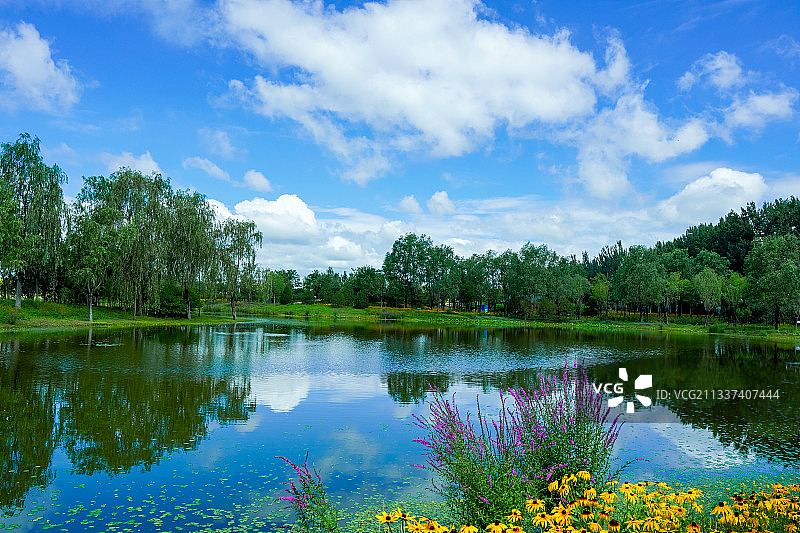 北京东郊湿地公园风光图片素材