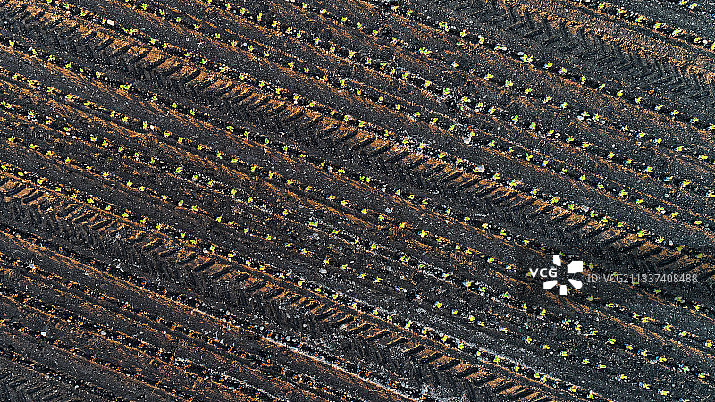 瑞士农田全画幅镜头图片素材
