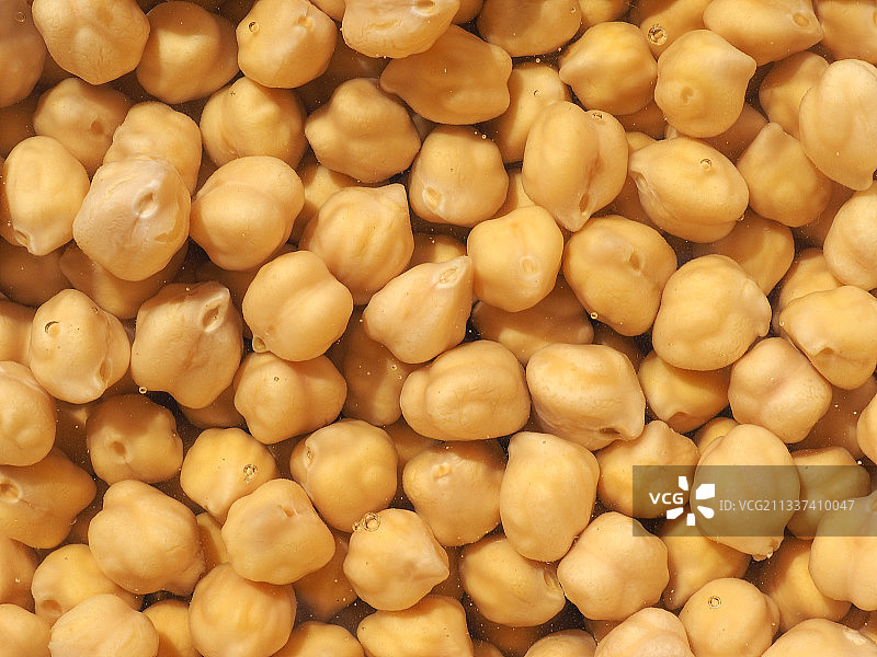 花生全画幅照片图片素材