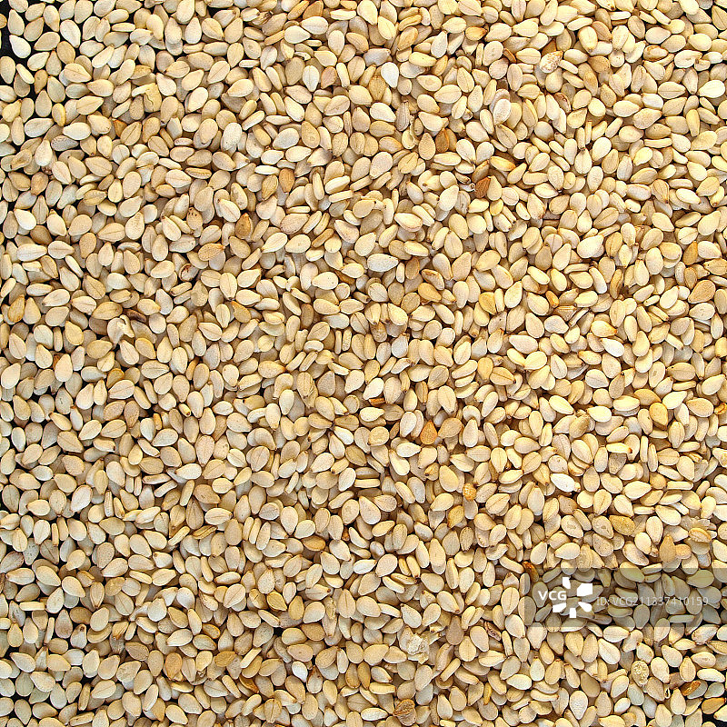 图案墙的全画幅照片图片素材