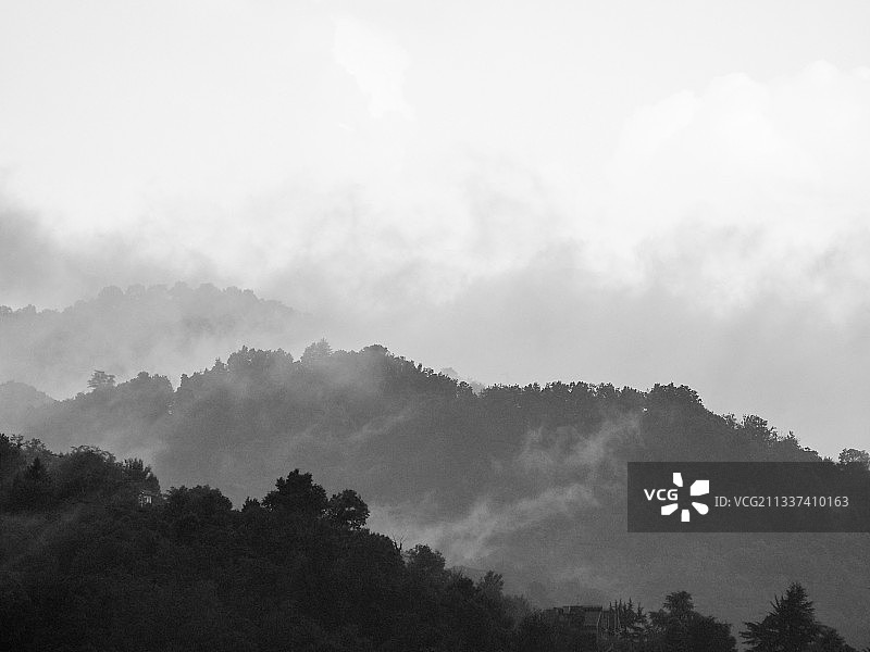 森林对天空的风景图片素材