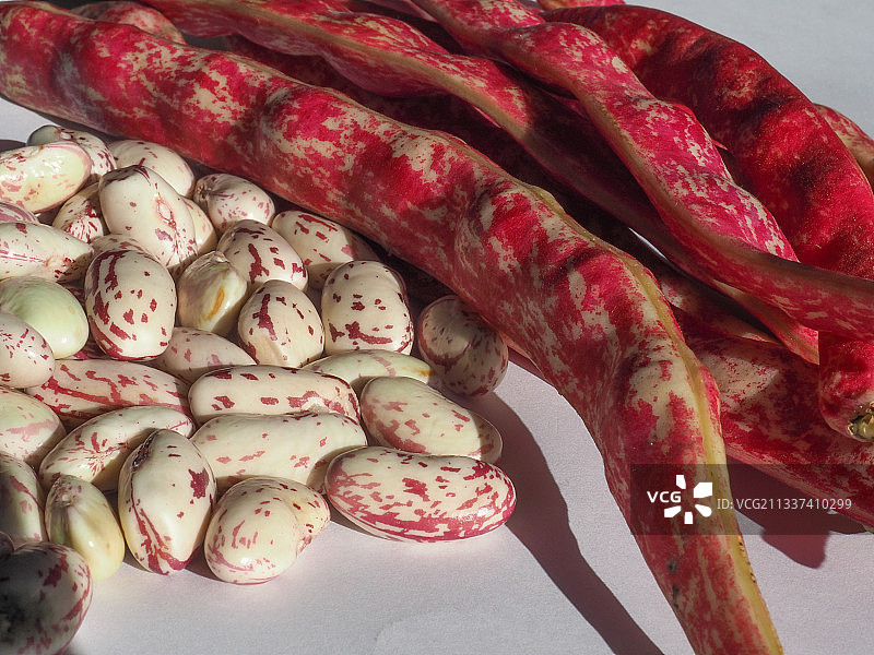 桌子上的蔬菜的高角度视图图片素材