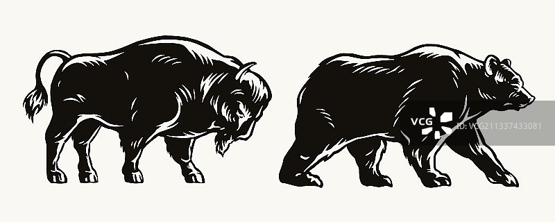美洲野牛和熊概念图片素材