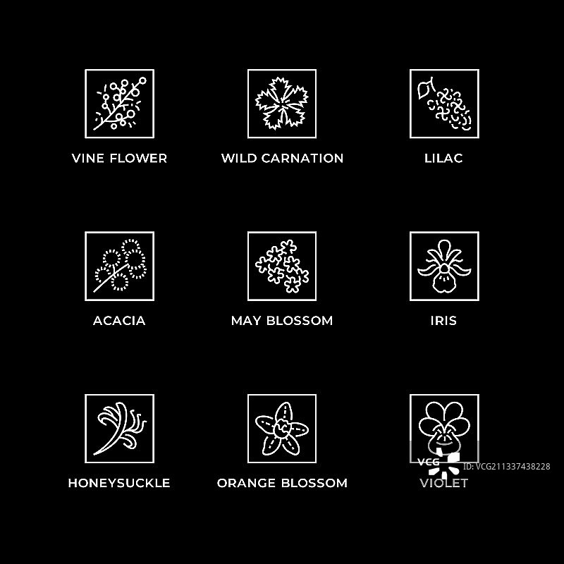 草药和植物线性图标合集图片素材